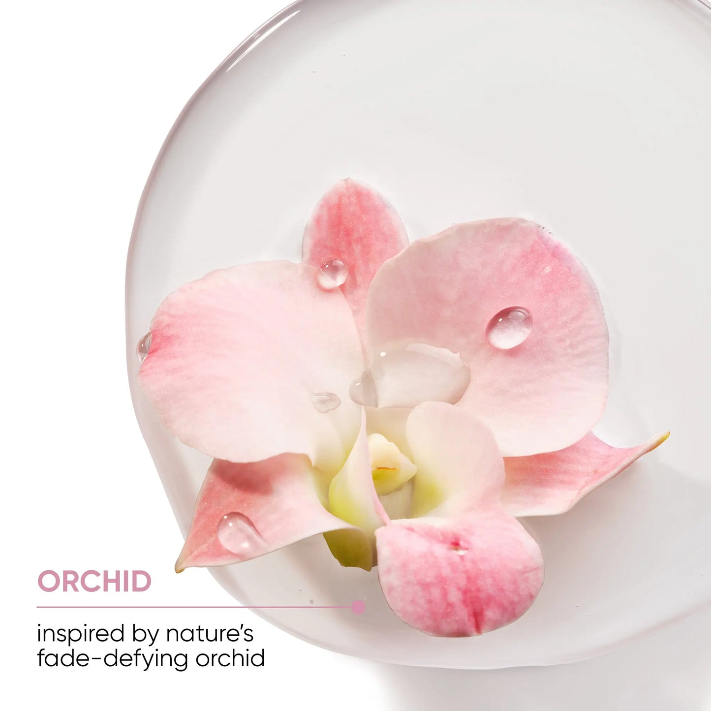 Matrix Colorlast Conditioner With Orchid Flower Extract 400ML