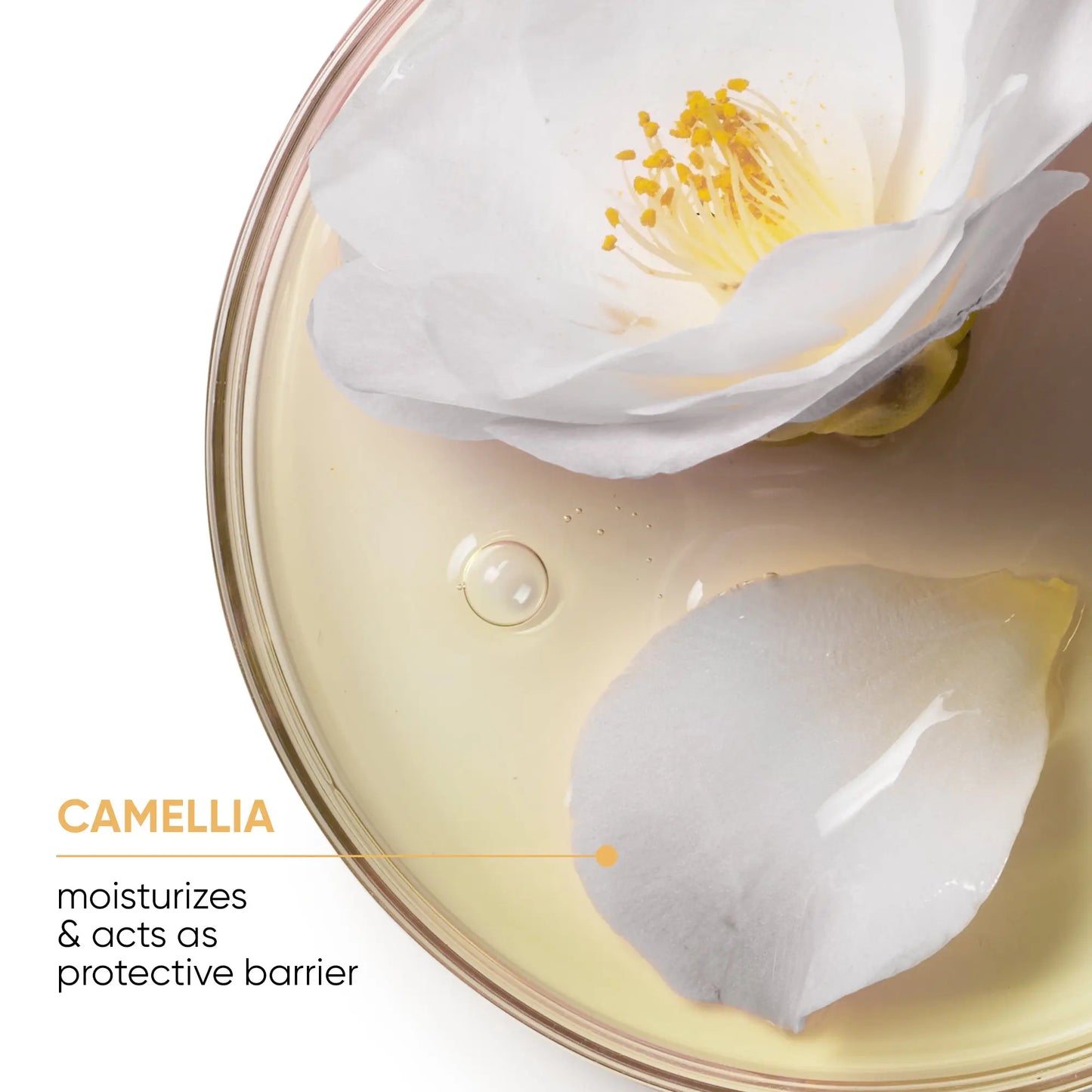 Matrix Smooth Proof Conditioner With Camelia Seed Oil 400ML