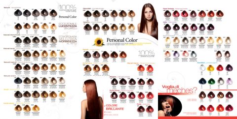 Close-up of swatches on the PERSONAL COLOR HAIR CHART BLACK