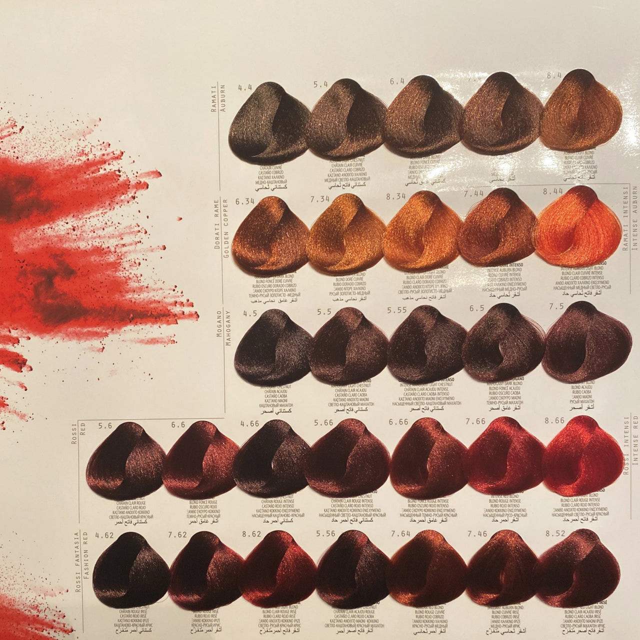 PERSONAL COLOR HAIR CHART in use by a professional stylist