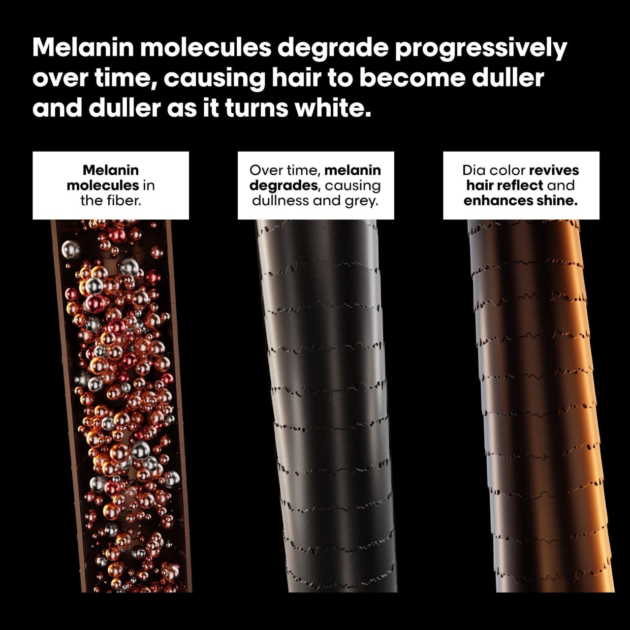 L'Oréal Professionnel Dia Color technical diagram showing melanin structure and color penetration process in hair shaft