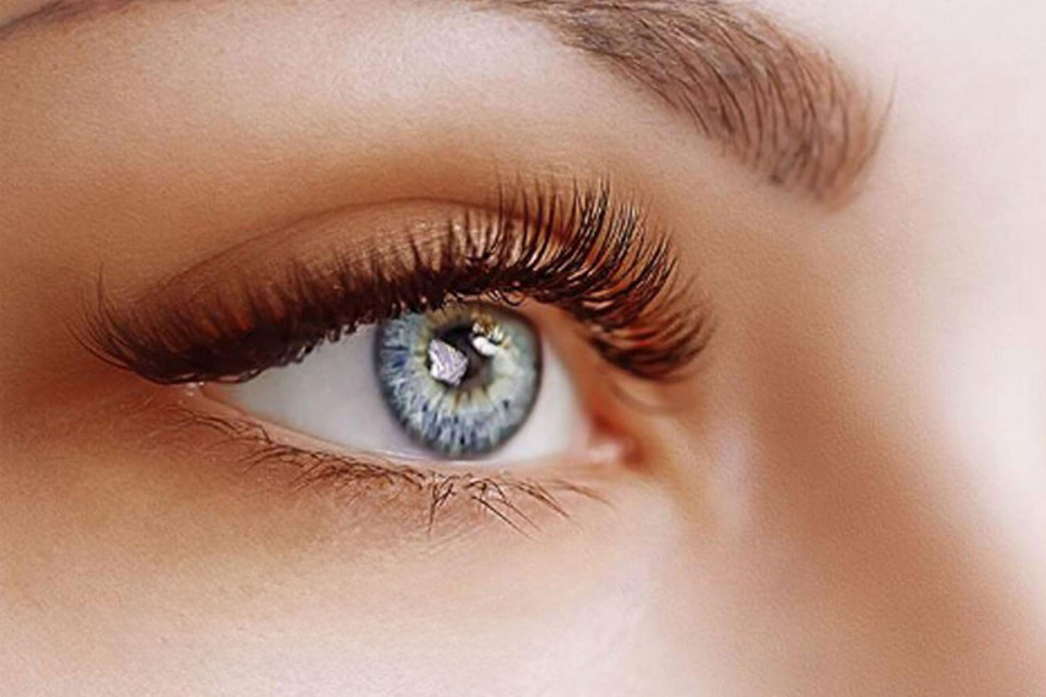 Model Rock professional lash collection featuring premium lashes, tools and adhesives in professional packaging
