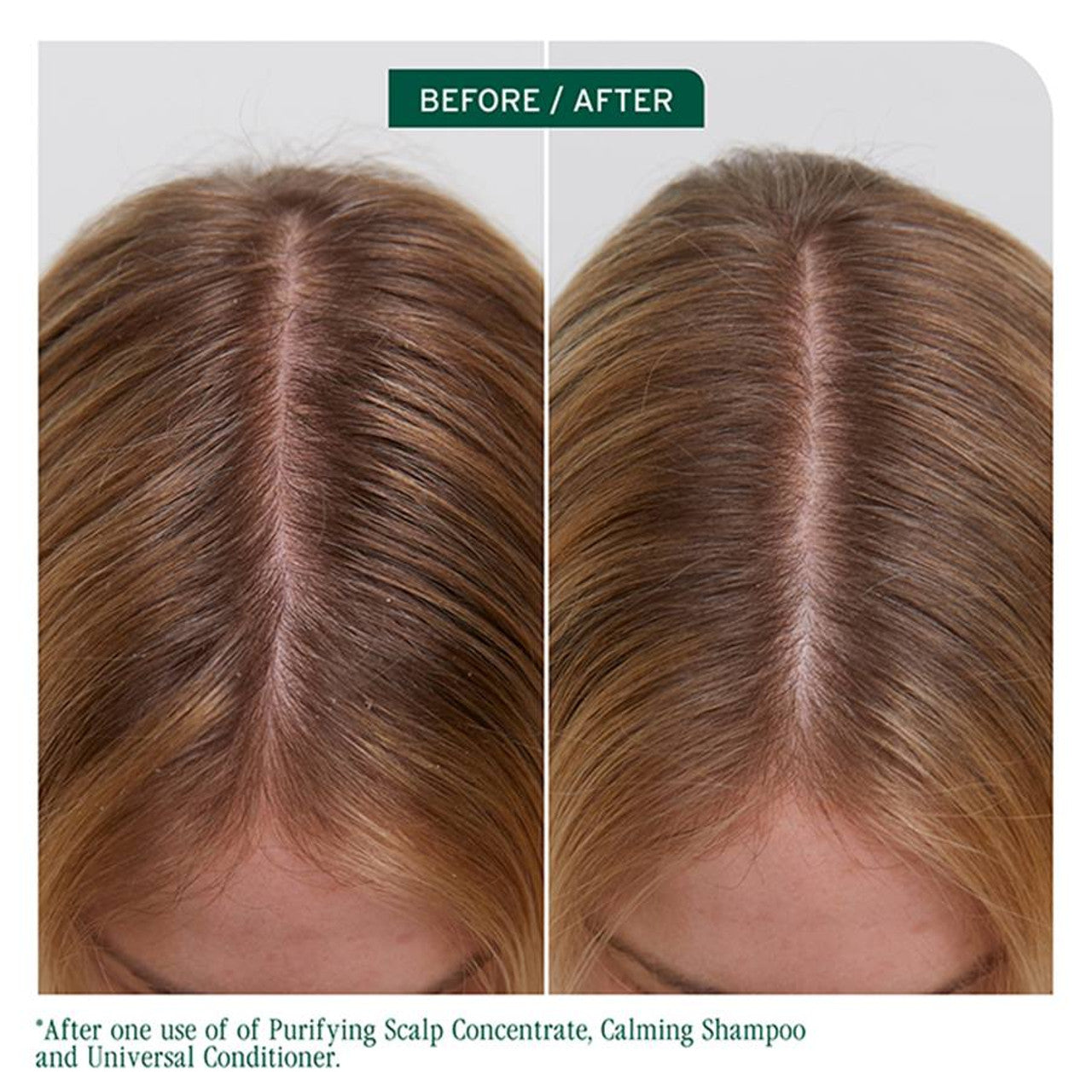 Matrix Biolage Scalp Sync Universal Conditioner 236ML