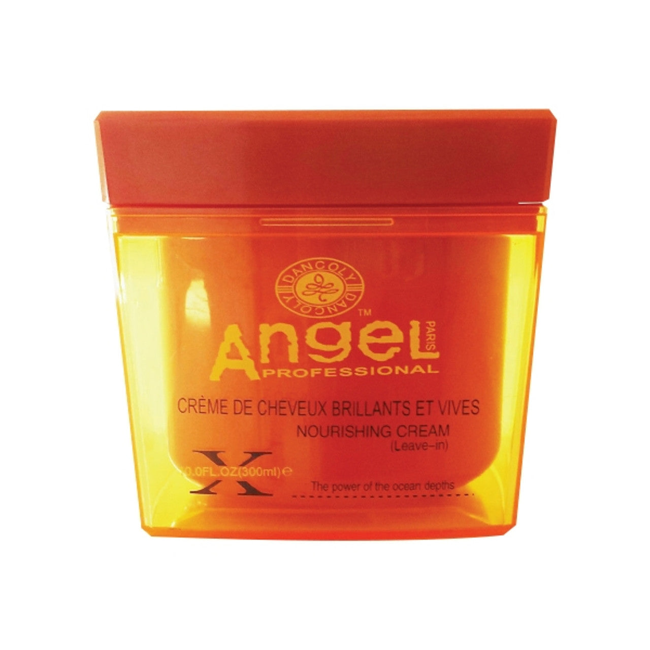 ANGEL PROFESSIONAL Nourishing Cream 300g jar front view