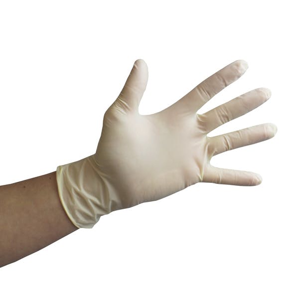 Protecht Glove Latex Lightly Powederd