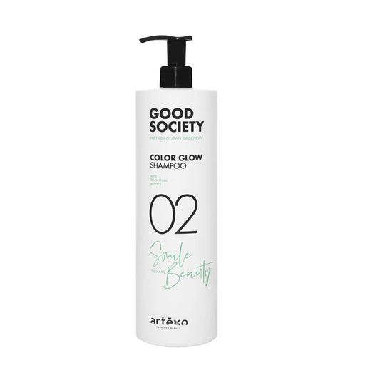 Artègo Gs Metro 02 Color Glow Shampoo 1000ML
